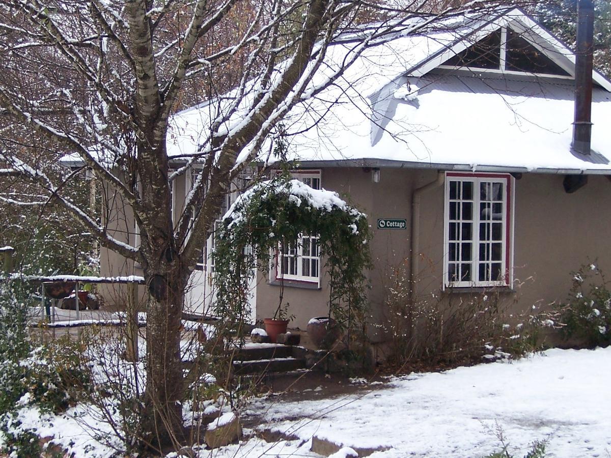 Villa Maple Grove Hogsback Exterior foto