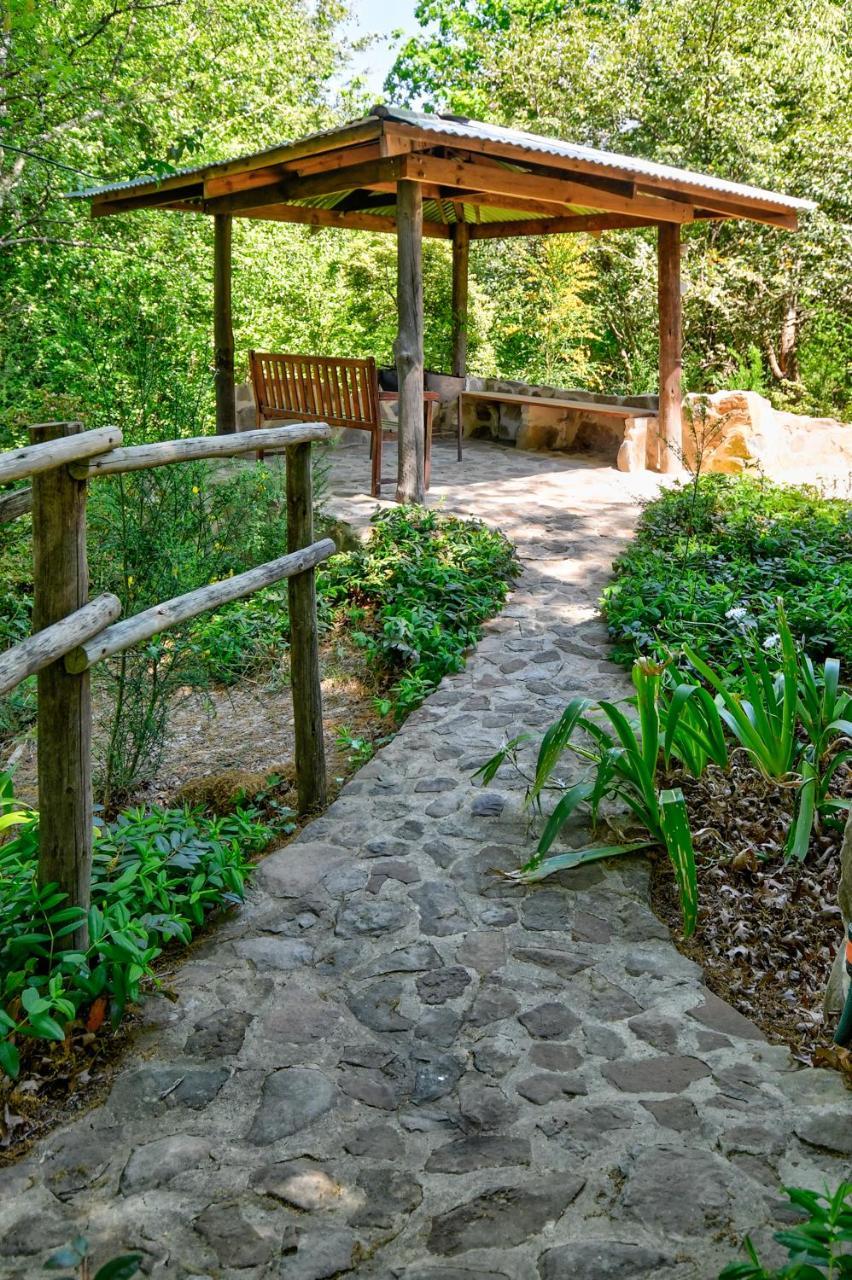 Villa Maple Grove Hogsback Exterior foto